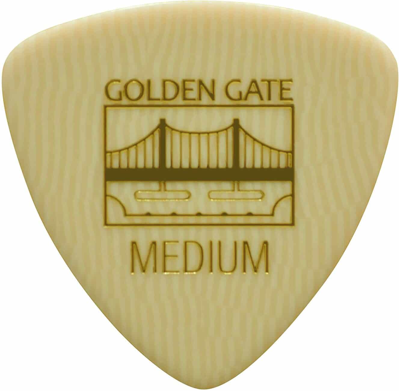 Golden Gate Picks Review UPDATED 2022 A Complete Guide