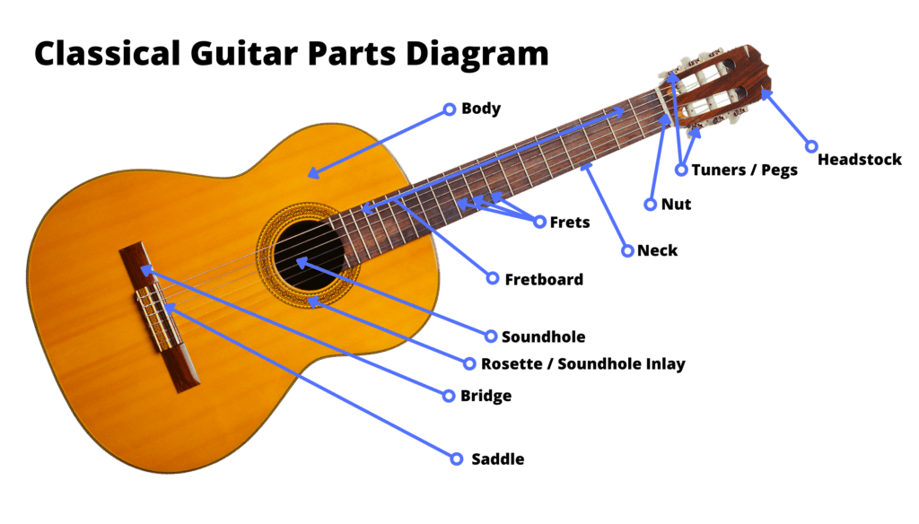 Classical Guitar Parts Diagram