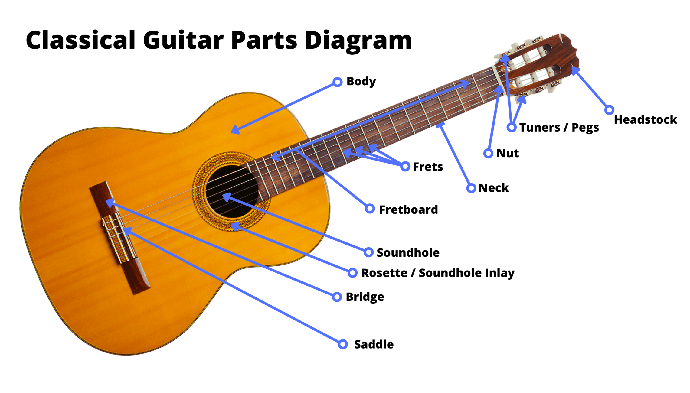 Acoustic Guitar Fretboard Diagram