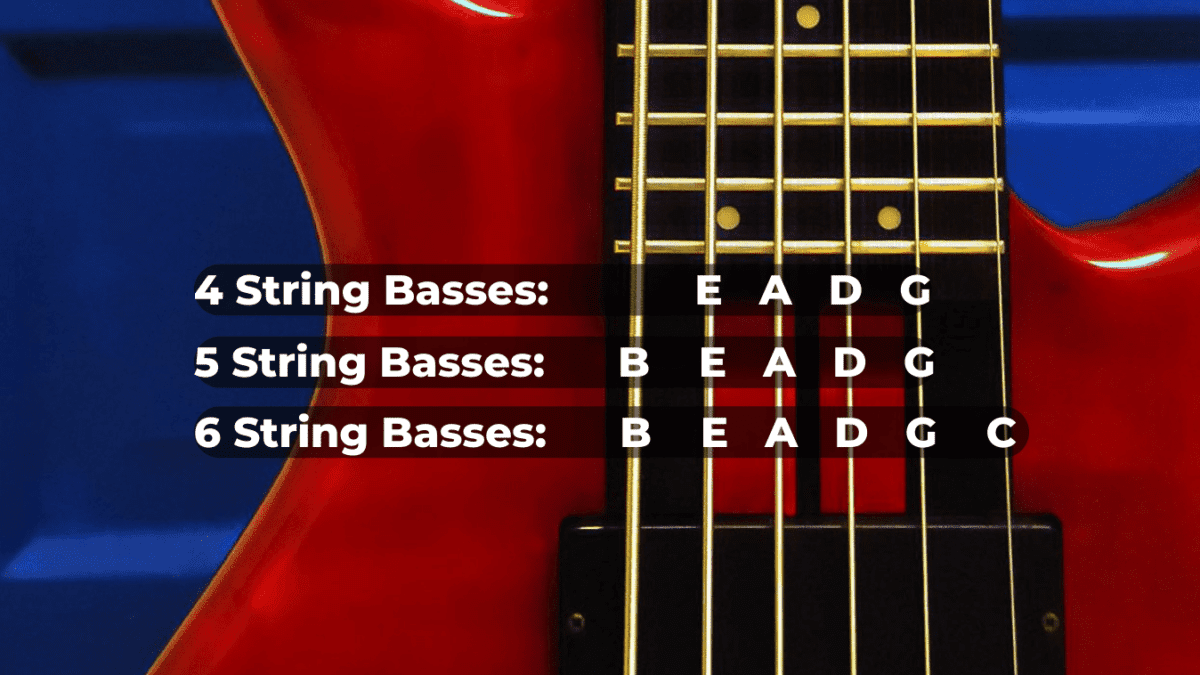 How to Tune a Bass Guitar? 3 Easy Step by Step Methods