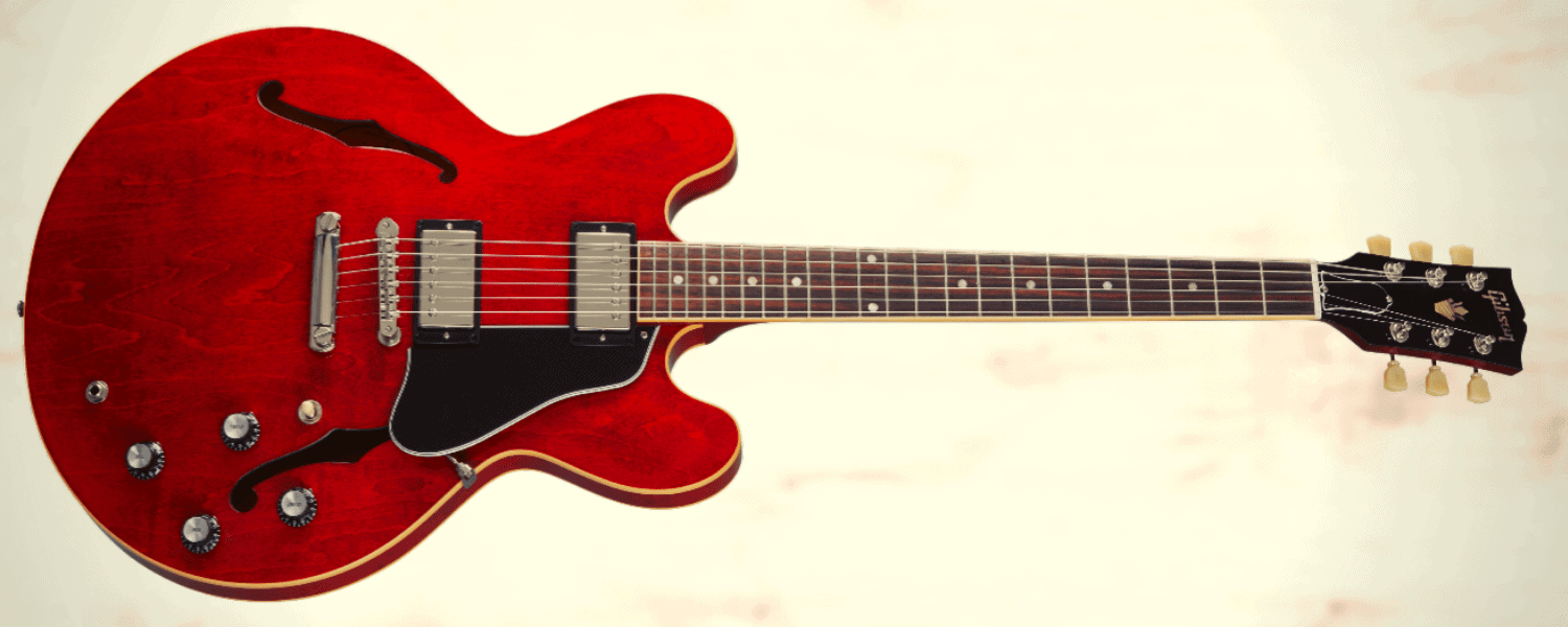 All Types of Electric Guitars Explained Guitar Pick Reviews